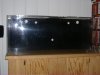 newly drilled tank DIY.JPG