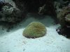 DSCN0212.jpg