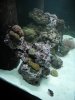DSCN0220.jpg