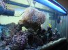 DSC00434.jpg