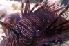 100_4646.jpg