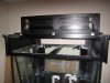 20100205_213041_0405.jpg