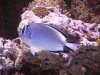 DSCN0237.jpg