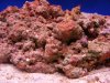 DSCF2014.JPGcvbcv.jpg