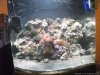 DSCF0133-Optimized.JPG