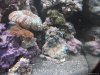DSCF0135-Optimized.JPG