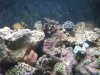 DSCF0136-Optimized.JPG