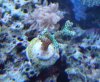DSC03177.jpg