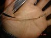 Cracked!!!.JPG