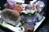 My_nano_cube_resized.jpg