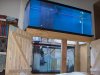 AquariumPics004.jpg