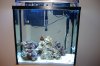 mini-2006_0221Image0045.JPG