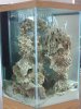 Reef (Medium).JPG
