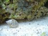 mini-2006_0309Image0004.JPG
