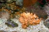 15--2-2006 056.jpg