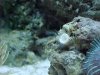 79D5625D-DBA6-3C9E-132E9DFA6C1D735B.jpg