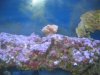 IMG_6532_1_1.JPG