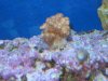IMG_6661_1_1.JPG