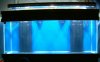 DSCF0088.jpg