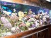 125 reef 1.JPG