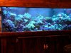 125 all actinic.JPG