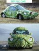 turtlecar.jpg
