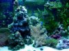 Dsc00198ss.jpg