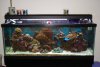 75 gal jtReef 1.jpg