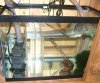 sump.JPG