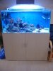 full tank23.6.06 (480 x 640).jpg