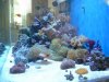 end view (640 x 480) (480 x 360).jpg
