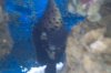 fish 2006_0304.JPG