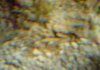 DSC05644_crop.JPG