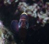 DSC_4395.JPG