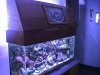 DSC00007 (Small).JPG