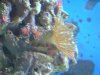 Aquarium 064 (Small).jpg