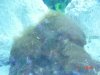 DSC00500.JPG