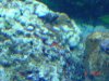 DSC00503.JPG
