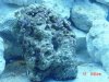 DSC00509.JPG