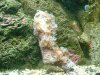 new frags 00404.jpg