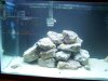 100_0022.JPG