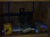 01092007248.jpg