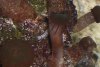 worm.jpg