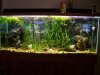 100_0035.JPG