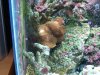 100_0040.JPG