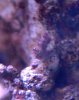 saltwater2.jpg