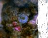 saltwater test.JPG