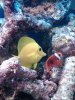 IMG00082-20100202-1130.jpg