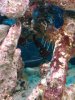 IMG00070-20100202-1127.jpg