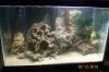 100_1678.jpg
